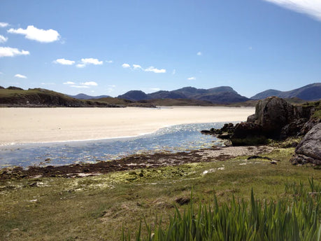 A blog's a blog for a' that